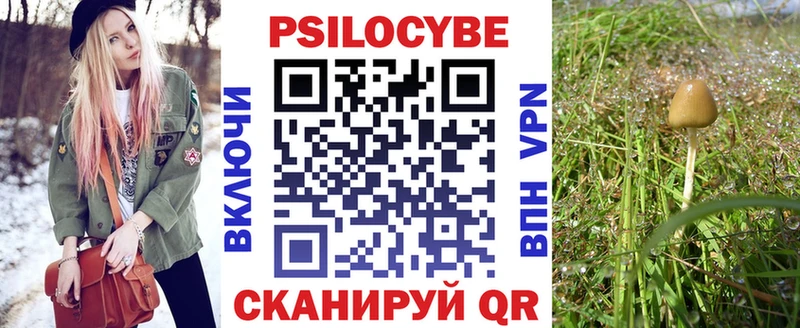 мега ТОР  Знаменск  Галлюциногенные грибы мухоморы 
